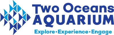 Two Oceans Aquarium