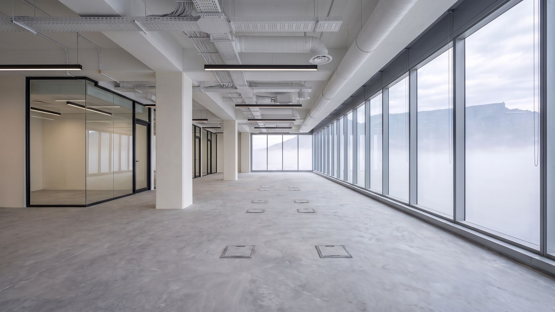 The same floor with black framed glass meeting rooms, painted walls and linear pendant lights