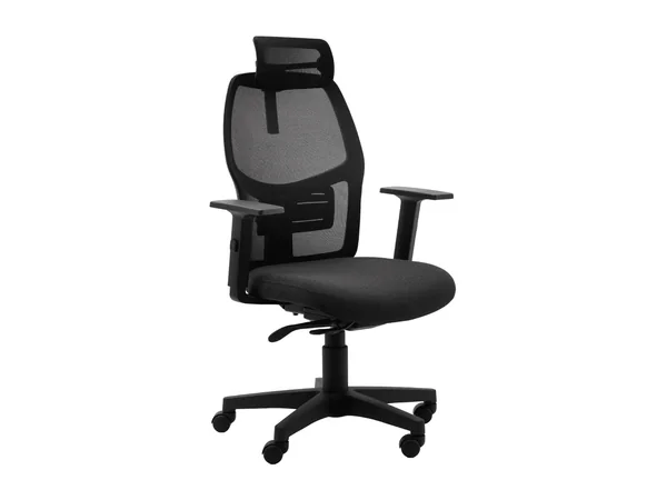 Astra Meshback, task chairs