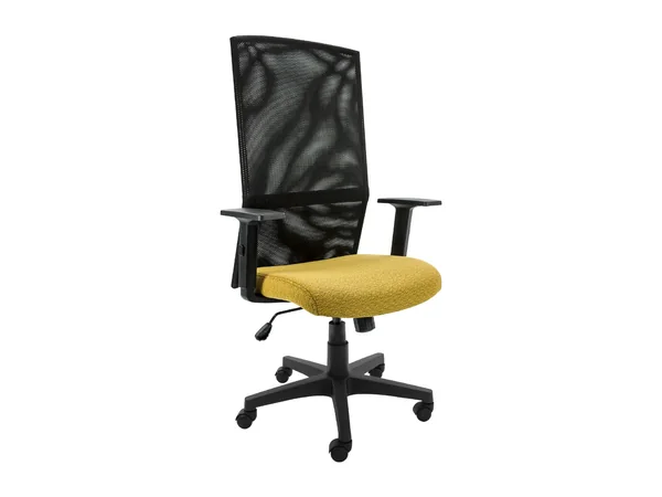 Zehn Meshback, task chairs